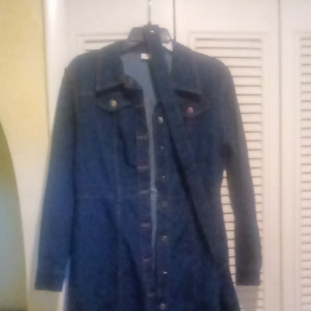 Women's Blue Denim Dress